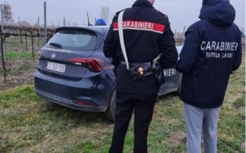 Carabinieri segnalano aziende agricole di Latina ad AGEA per gravi irregolarità