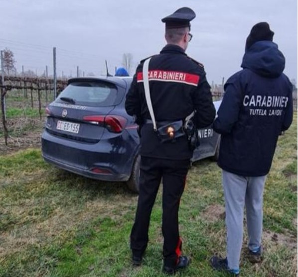 Carabinieri segnalano aziende agricole di Latina ad AGEA per gravi irregolarità