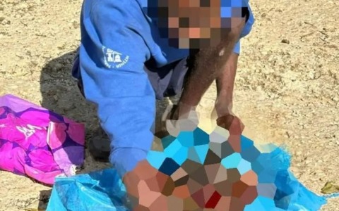 Un cittadino extracomunitario uccide e seziona un cane