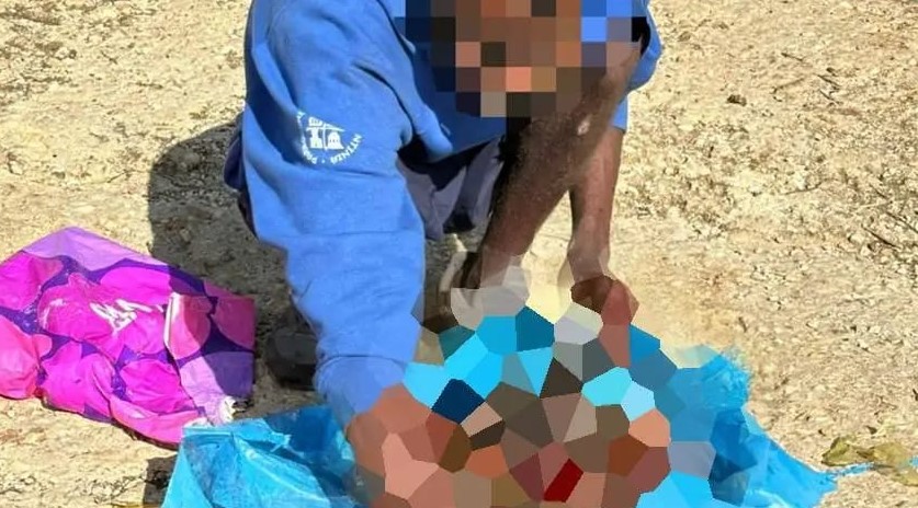 Un cittadino extracomunitario uccide e seziona un cane