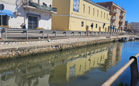Verifica della stabilità delle banchine in via Lungolinea Pio VI