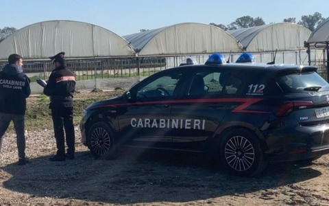 Controlli dei Carabinieri sul caporalato: denunciate irregolarità in un’azienda agricola