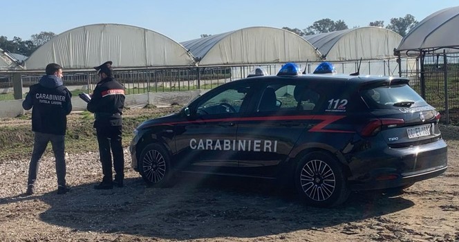 Controlli dei Carabinieri sul caporalato: denunciate irregolarità in un’azienda agricola