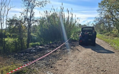 Denunciato imprenditore agricolo per abbandono e incenerimento di rifiuti