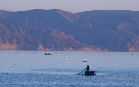 Fermo pesca: una crisi profonda per i pescatori del Tirreno