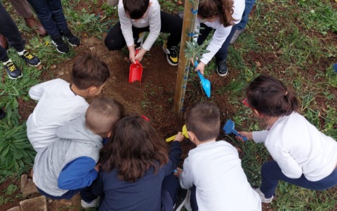 Festa dell’Albero all’I.C. Alfredo Fiorini