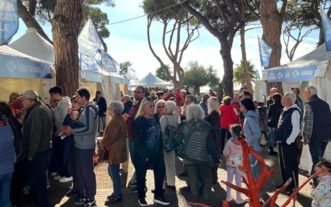 Festival del Pescato Locale – Terracina Blue: un successo per il mare e la sostenibilità