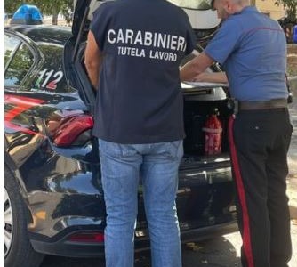 I Carabinieri denunciano il titolare di un’azienda agricola per irregolarità
