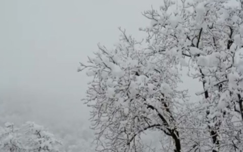 In arrivo il freddo polare, temperature in calo nel Lazio