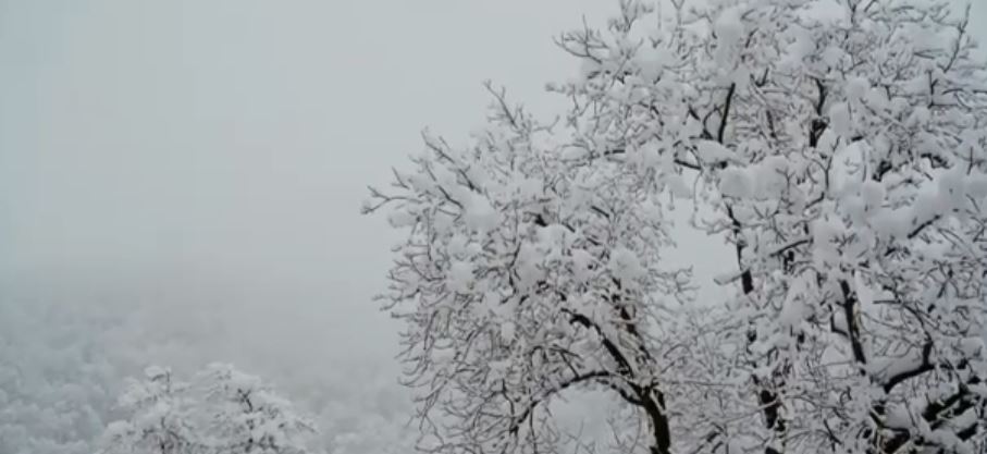 In arrivo il freddo polare, temperature in calo nel Lazio