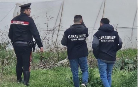 Intervento dei Carabinieri del Nas in un’azienda agricola con attività sospesa