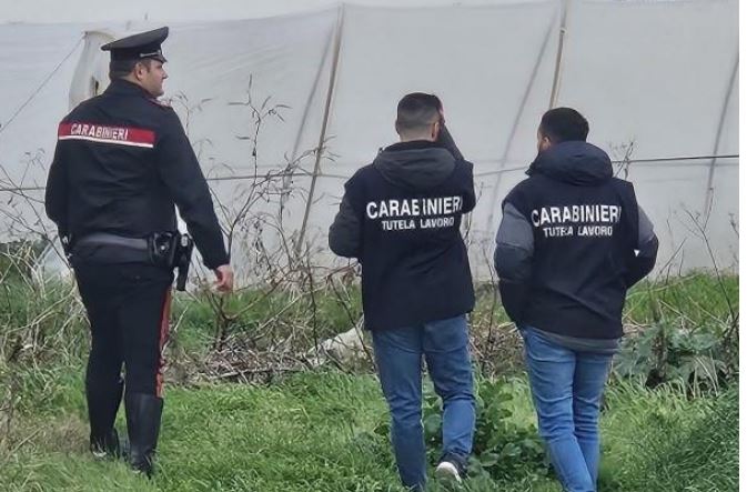 Intervento dei Carabinieri del Nas in un’azienda agricola con attività sospesa