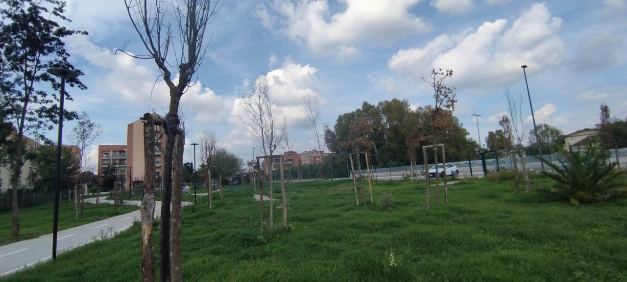 Latina, il verde pubblico abbandonato: il grido di LBC