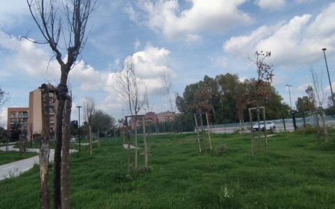 Latina, il verde pubblico abbandonato: il grido di LBC