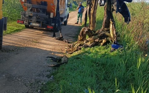 Pulizia dei Canali: Un Progetto Condiviso per la Salute Ambientale