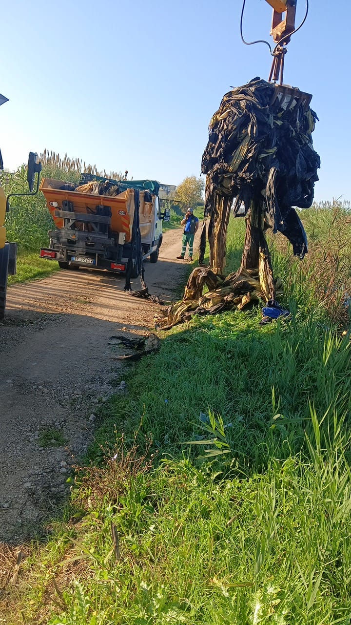 Pulizia dei Canali: Un Progetto Condiviso per la Salute Ambientale