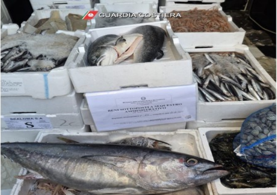 Sequestro di pesce privo di etichettatura da parte della Guardia Costiera