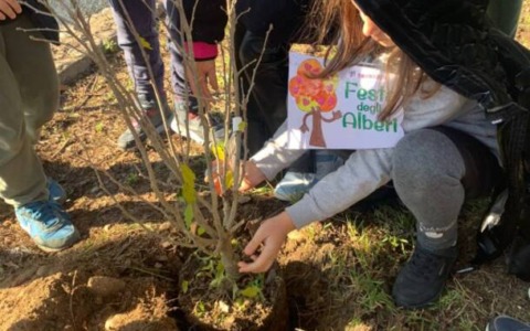 Sermoneta festeggia la Giornata dell’Albero