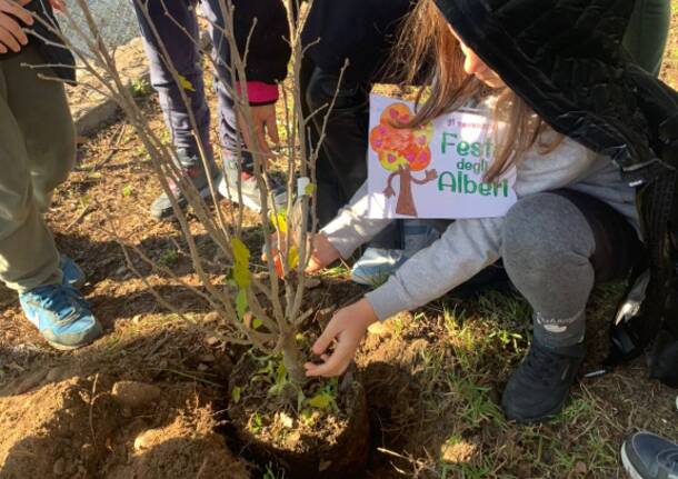 Sermoneta festeggia la Giornata dell’Albero