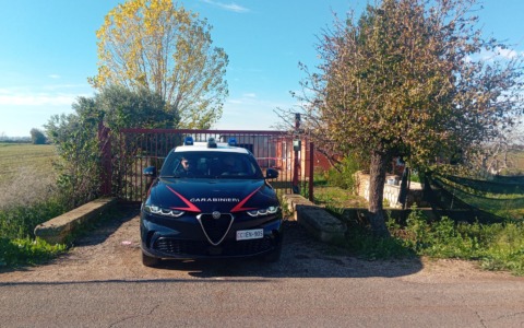 Uccisione di un indiano a Pontinia: fermato il sospettato