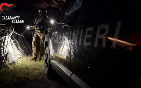 Arresti per traffico di droga in Sardegna e nel Lazio
