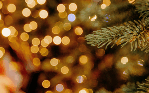 Magia del Natale per famiglie a San Felice Circeo