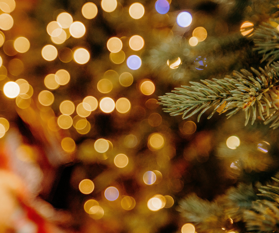 Magia del Natale per famiglie a San Felice Circeo