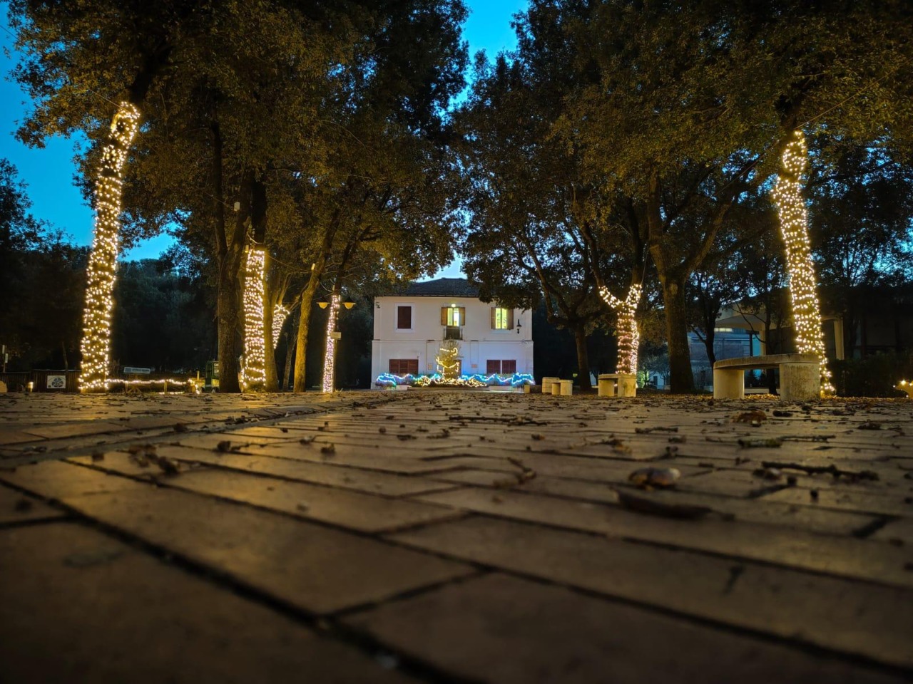 Natale al Parco Nazionale del Circeo: eventi e inaugurazione il 6 dicembre