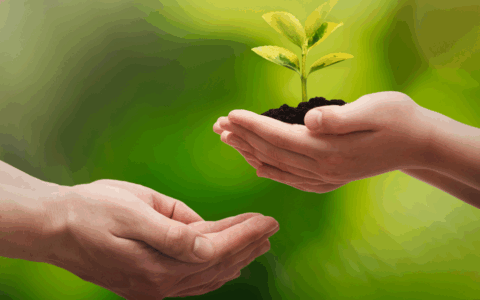 Nuovo bando per finanziamenti a progetti ambientali