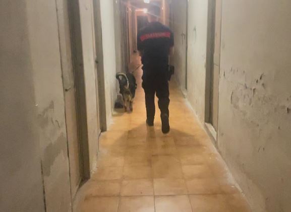 Scoperto laboratorio di droga in cantina: un 53enne sottoposto a obbligo di presentazione