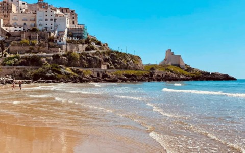 Sospesa la cooperativa “Sperlonga Turismo”, avviata la liquidazione