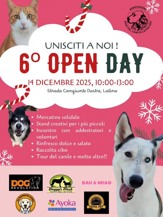 Torna il VI Open Day del Canile Comunale di Latina per un Natale a 4 zampe