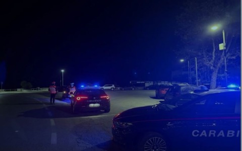 Furto con destrezza: due uomini denunciati dai Carabinieri