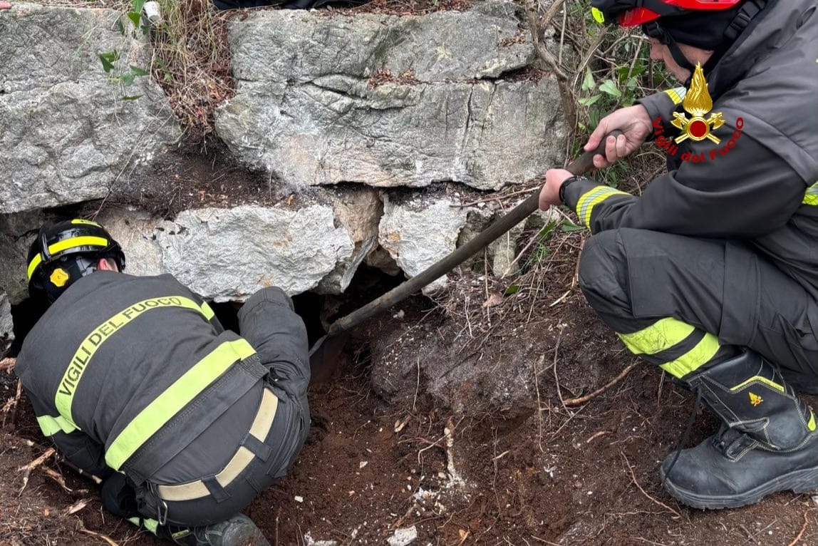Recuperati i due segugi caduti in una cavità carsica dopo cinque giorni di operazioni