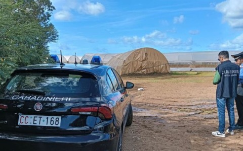 Sfruttamento di lavoratori stranieri nell’allevamento: scattata la denuncia