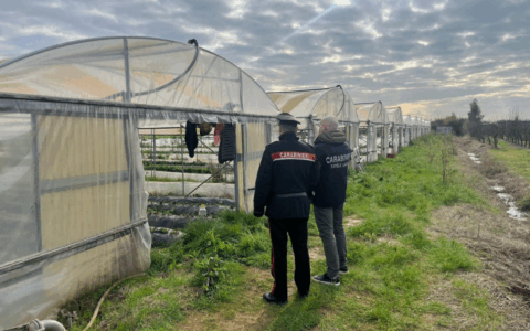 Sospesa un’azienda agricola per sfruttamento di lavoratori stranieri