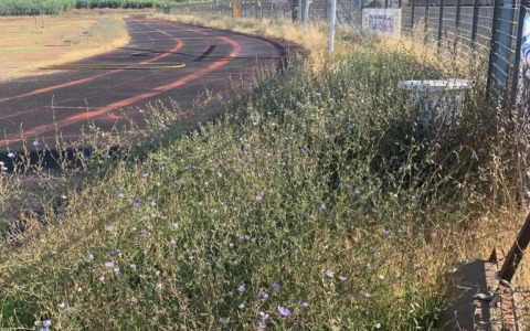 Stadio Mario Colavolpe, condizioni critiche delle strutture sportive
