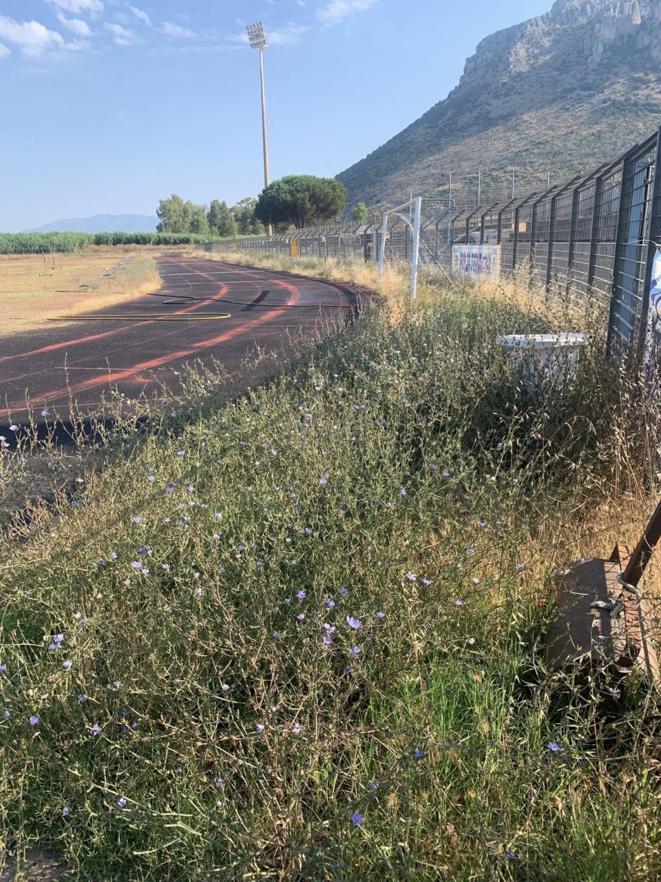 Stadio Mario Colavolpe, condizioni critiche delle strutture sportive