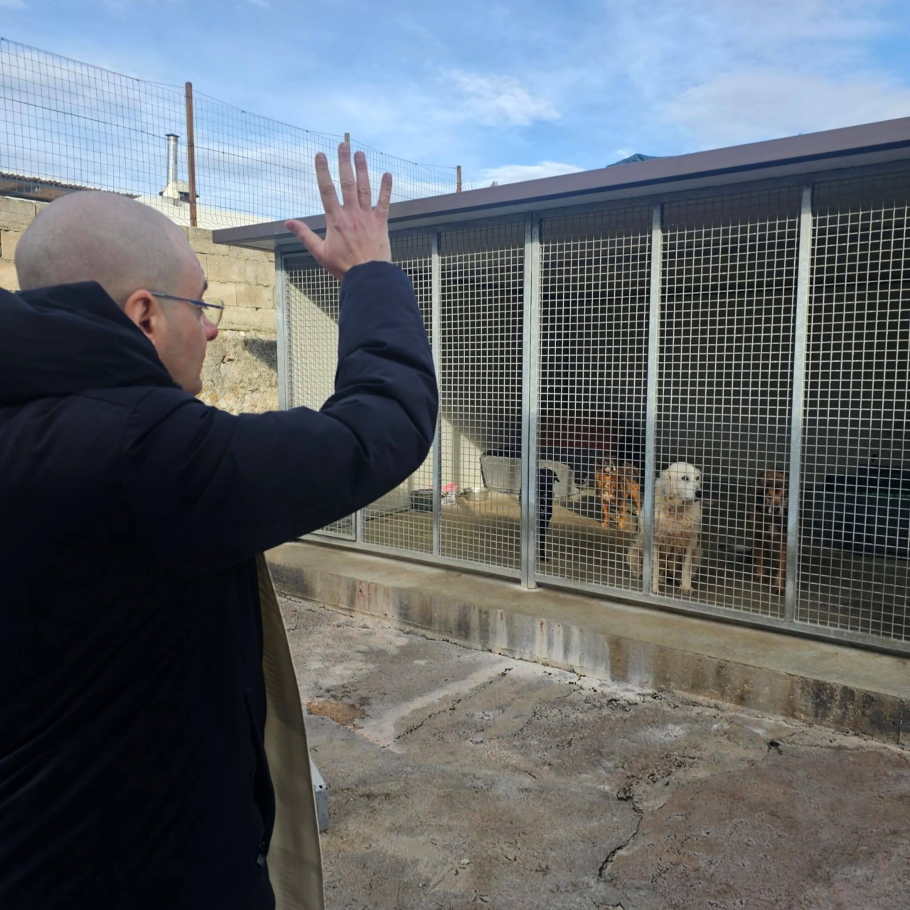 Terracina celebra Sant’Antonio Abate con la benedizione dei cani del Canile Comunale