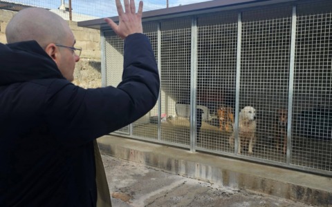 Terracina celebra Sant’Antonio Abate con la benedizione dei cani del Canile Comunale