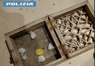 Arresto di una donna di 33 anni per spaccio di cocaina