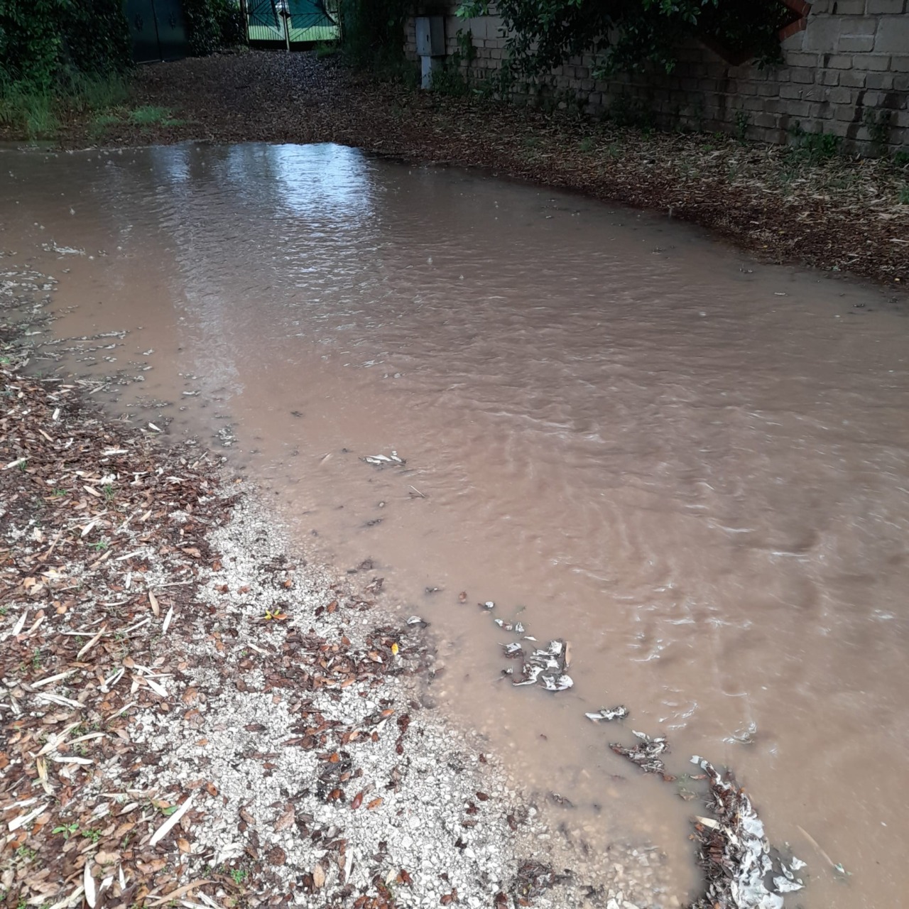Costituzione del comitato cittadino “Colle delle Cese”