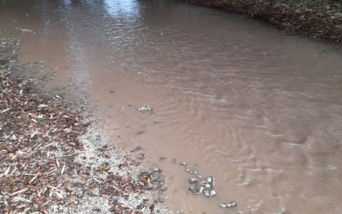 Costituzione del comitato cittadino “Colle delle Cese”