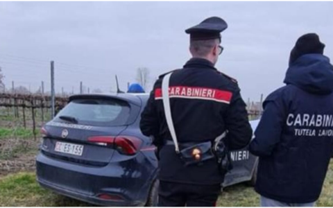 Denunciato imprenditore per lavoro nero in azienda agricola