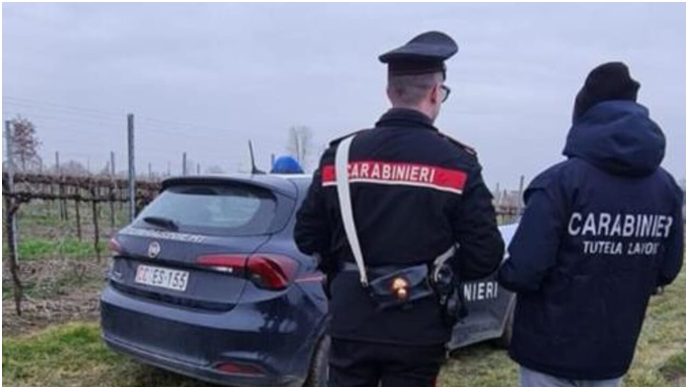 Denunciato imprenditore per lavoro nero in azienda agricola