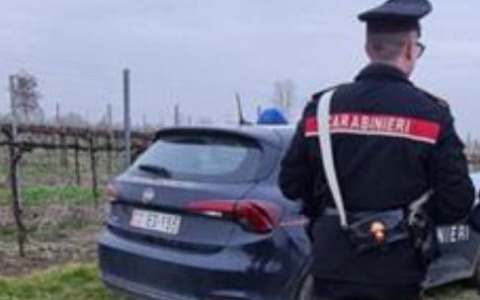 Interventi nei campi: il figlio del titolare aggredisce i carabinieri