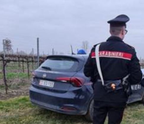 Interventi nei campi: il figlio del titolare aggredisce i carabinieri
