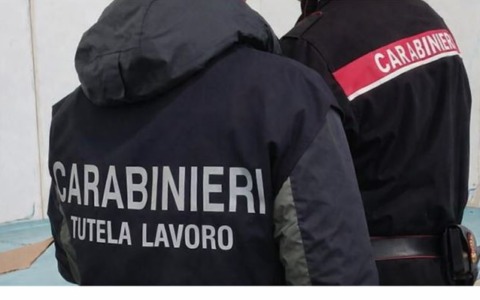 Ispezione in allevamento bufalino, titolare denunciato per irregolarità