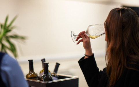 La Camera di Commercio Frosinone Latina avvia sei cicli di seminari sul vino