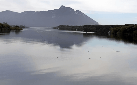 Raduni nazionali a Sabaudia e Piediluco